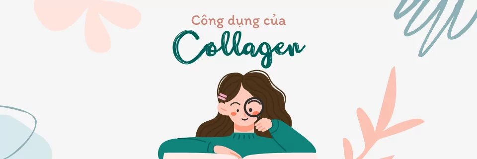 featured-cong-dung-cua-collagen