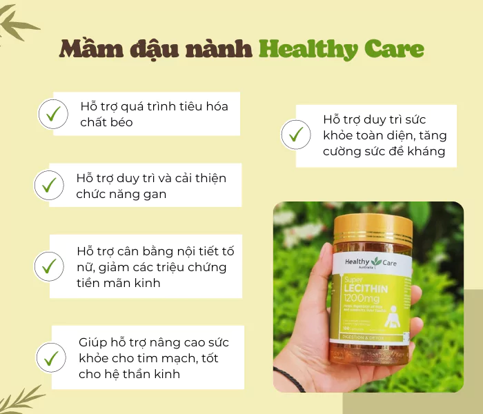 cong dung mam dau nanh healthy care