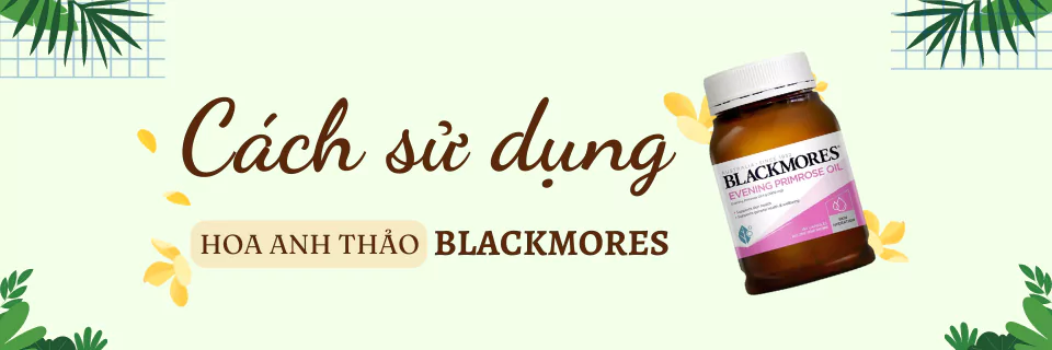 featured-cach-su-dung-hoa-anh-thao-blackmore-1