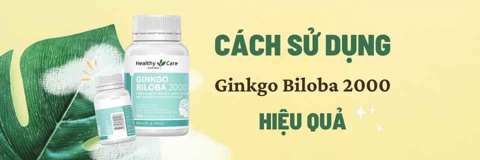 featured-ginkgo-biloba-2000-cach-dung